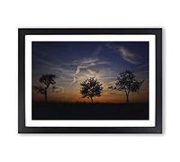 Big Box Art Landscape Three Trees Sunset Framed Wall Art Picture Print Ready to Hang, Black A2 (62 x 45 cm)
