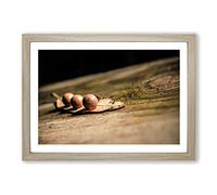 Big Box Art Landscape Tree Stump Framed Wall Art Picture Print Ready to Hang, Oak A2 (62 x 45 cm)