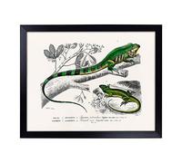 Big Box Art Lap Tray with Cushion | Green Iguana and Lizard by Charles d' Orbigny | Padded Bean Bag Cushion | For Eating, Working, Crafting, Laptop | Portable Table Desk