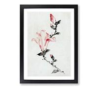 Big Box Art Large Pink Blossom by Katsushika Hokusai Framed Wall Art Picture Print Ready to Hang, Black A2 (62 x 45 cm)