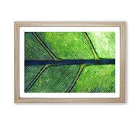 Big Box Art Leaf Detail Painting Framed Wall Art Picture Print Ready to Hang, Oak A2 (62 x 45 cm)