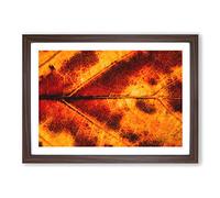 Big Box Art Leaf in The Autumn Painting Framed Wall Art Picture Print Ready to Hang, Walnut A2 (62 x 45 cm)