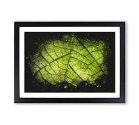 Big Box Art Leaf Roads Paint Splash Framed Wall Art Picture Print Ready to Hang, Black A2 (62 x 45 cm)