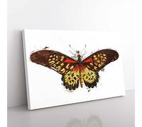 Big Box Art Leona Butterfly by George Shaw Canvas Wall Art Print Ready to Hang Picture, 76 x 50 cm (30 x 20 Inch), White, Brown, Cream, Yellow, Cream
