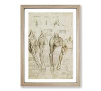 Big Box Art Leonardo Da Vinci Anatomy 9 Framed Wall Art Picture Print Ready to Hang, Oak A2 (62 x 45 cm)