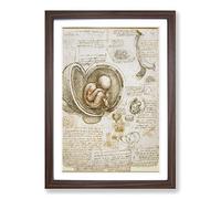Big Box Art Leonardo Da Vinci Anatomy Framed Wall Art Picture Print Ready to Hang, Walnut A2 (62 x 45 cm)