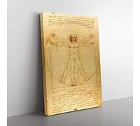 Big Box Art Leonardo Da Vinci The Vitruvian Man Vitruviano Canvas Wall Art Print Ready to Hang Picture, 76 x 50 cm (30 x 20 Inch), Multi-Coloured