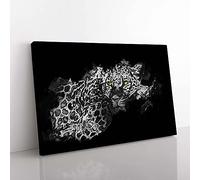 Big Box Art Leopard with Green Eyes High in Abstract Canvas Wall Art Print Ready to Hang Picture, 76 x 50 cm (30 x 20 Inch), Black, Grey