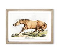 Big Box Art Light-Brown Horse by Henry Alken Framed Wall Art Picture Print Ready to Hang, Oak A2 (62 x 45 cm)
