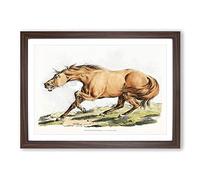 Big Box Art Light-Brown Horse by Henry Alken Framed Wall Art Picture Print Ready to Hang, Walnut A2 (62 x 45 cm)