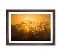 Big Box Art Light Through The Trees in Sri Lanka in Abstract Framed Wall Art Picture Print Ready to Hang, Walnut A2 (62 x 45 cm)