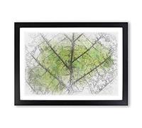 Big Box Art Lines of The Leaf in Abstract Framed Wall Art Picture Print Ready to Hang, Black A2 (62 x 45 cm)