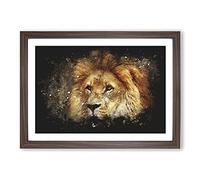 Big Box Art Lion Vol.6 Paint Splash Framed Wall Art Picture Print Ready to Hang, Walnut A2 (62 x 45 cm)