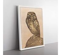 Big Box Art Little Owl by Theo Van Hoytema Canvas Wall Art Print Ready to Hang Picture, 76 x 50 cm (30 x 20 Inch), Beige, Green, Cream