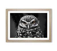 Big Box Art Little Owl in Abstract Framed Wall Art Picture Print Ready to Hang, Oak A2 (62 x 45 cm)