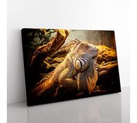 Big Box Art Lizard Reptile (2) Canvas Wall Art Print Ready to Hang Picture, 76 x 50 cm (30 x 20 Inch), Multi-Coloured