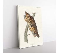 Big Box Art Long-Eared Owl by John James Audubon Canvas Wall Art Print Ready to Hang Picture, 76 x 50 cm (30 x 20 Inch), White, Grey, Green, Brown