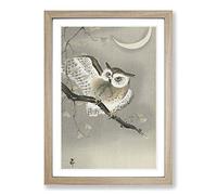 Big Box Art Long-Eared Owl by Ohara Koson Framed Wall Art Picture Print Ready to Hang, Oak A2 (62 x 45 cm)