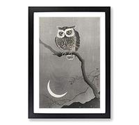 Big Box Art Long-Eared Owl Upon a Tree by Ohara Koson Framed Wall Art Picture Print Ready to Hang, Black A2 (62 x 45 cm)