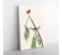 Big Box Art Louisiana Water Thrush by John James Audubon Canvas Wall Art Print Ready to Hang Picture, 76 x 50 cm (30 x 20 Inch), White, Green, Brown