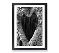 Big Box Art Love Heart Birch Tree (3) Framed Wall Art Picture Print Ready to Hang, Black A2 (62 x 45 cm)