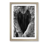 Big Box Art Love Heart Birch Tree (3) Framed Wall Art Picture Print Ready to Hang, Oak A2 (62 x 45 cm)