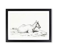 Big Box Art Lying Goat by Jean Bernard Framed Wall Art Picture Print Ready to Hang, Black A2 (62 x 45 cm)
