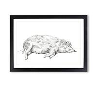 Big Box Art Lying Pig by Jean Bernard Framed Wall Art Picture Print Ready to Hang, Black A2 (62 x 45 cm)