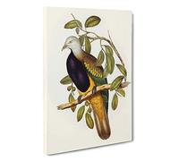 Big Box Art Magnificent Fruit Pigeons by Elizabeth Gould Canvas Wall Art Framed Picture Print, 30 x 20 Inch (76 x 50 cm), White, Green, Cream, Black, Cream