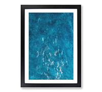 Big Box Art Many Dolphin Painting Framed Wall Art Picture Print Ready to Hang, Black A2 (62 x 45 cm)