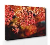 Big Box Art Maple Tree Leaf Canvas Wall Art Print Ready to Hang Picture, 30 x 20 Inch (76 x 50 cm), Multi-Coloured