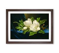Big Box Art Martin Johnson Heade Giant Magnolias Framed Wall Art Picture Print Ready to Hang, Walnut A2 (62 x 45 cm)