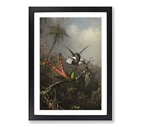 Big Box Art Martin Johnson Heade Orchid with Two Hummingbirds Framed Wall Art Picture Print Ready to Hang, Black A2 (62 x 45 cm)