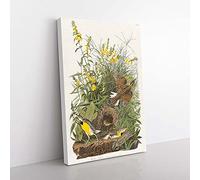 Big Box Art Meadow Larks by John James Audubon Canvas Wall Art Print Ready to Hang Picture, 76 x 50 cm (30 x 20 Inch), White, Green, Brown, Green, Yellow
