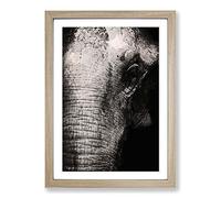 Big Box Art Mighty Elephant in The Shadows Framed Wall Art Picture Print Ready to Hang, Oak A2 (62 x 45 cm)