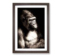 Big Box Art Mighty Silverback Gorilla in Abstract Framed Wall Art Picture Print Ready to Hang, Walnut A2 (62 x 45 cm)