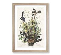 Big Box Art Mockingbirds & Rattlesnake by John James Audubon Framed Wall Art Picture Print Ready to Hang, Oak A2 (62 x 45 cm)