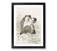 Big Box Art Monkey with an Insect by Ohara Koson Framed Wall Art Picture Print Ready to Hang, Black A2 (62 x 45 cm)