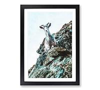 Big Box Art Mountain Goat Vol.1 Painting Framed Wall Art Picture Print Ready to Hang, Black A2 (62 x 45 cm)