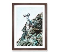 Big Box Art Mountain Goat Vol.1 Painting Framed Wall Art Picture Print Ready to Hang, Walnut A2 (62 x 45 cm)
