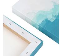 Big Box Art Mountain Thrush Birds by Elizabeth Gould Canvas Wall Art Print Ready to Hang Picture, 76 x 50 cm (30 x 20 Inch), White, Cream, Brown, Blue