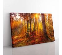 Big Box Art Mystery Forest Painting Canvas Wall Art Print Ready to Hang Picture, 76 x 50 cm (30 x 20 Inch), Grey, Brown