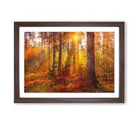 Big Box Art Mystery Forest Painting Framed Wall Art Picture Print Ready to Hang, Walnut A2 (62 x 45 cm)