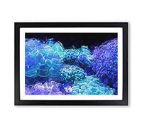 Big Box Art Neon Coral in Abstract Framed Wall Art Picture Print Ready to Hang, Black A2 (62 x 45 cm)