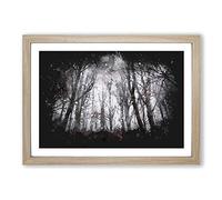 Big Box Art Never Ending Forest in Italy Paint Splash Framed Wall Art Picture Print Ready to Hang, Oak A2 (62 x 45 cm)