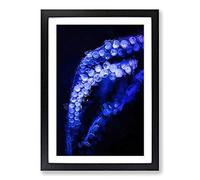 Big Box Art Octopus Tentacles Framed Wall Art Picture Print Ready to Hang, Black A2 (62 x 45 cm)
