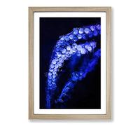 Big Box Art Octopus Tentacles Framed Wall Art Picture Print Ready to Hang, Oak A2 (62 x 45 cm)