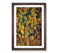 Big Box Art One Hundred Trees Framed Wall Art Picture Print Ready to Hang, Walnut A2 (62 x 45 cm)