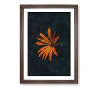 Big Box Art Orange Flower in Bloom Painting Framed Wall Art Picture Print Ready to Hang, Walnut A2 (62 x 45 cm)