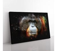 Big Box Art Orangutan Monkey Vol.1 Paint Splash Canvas Wall Art Print Ready to Hang Picture, 76 x 50 cm (30 x 20 Inch), Black, Brown, Grey